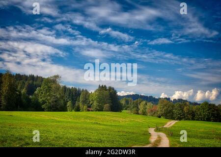 DE - BAVARIA: Bauernhofweg durch die alpine Landschaft am Wackersberg bei Bad Tölz Stockfoto