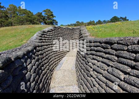 Erster Weltkrieg-Graben am Canadian National Vimy Memorial and Battlefield Park in Givenchy-en-Gohelle (Pas-de-Calais), Frankreich Stockfoto