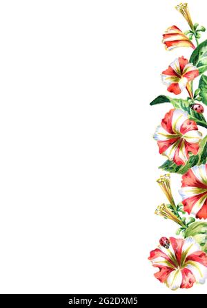 Roter und weißer Petunia-Hintergrund. Aquarellkarte Stockfoto
