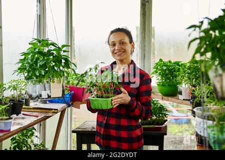 Lächelnde reife Gärtnerin hält auf dem Hintergrund kulinarischer Setzlinge aus Gemüse und gree Setzlinge aus frischen Blättern gewachsener Pflanzen mit Erde Stockfoto
