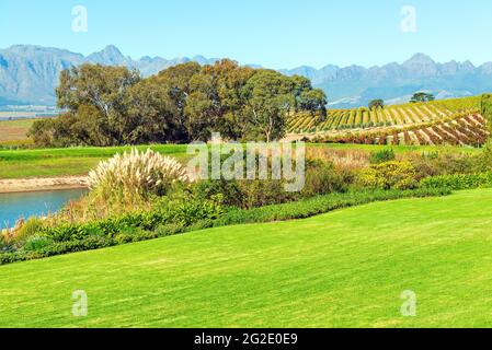 Weinbaulandschaft in der Region Stellenbosch und Paarl bei Kapstadt, Südafrika. Stockfoto