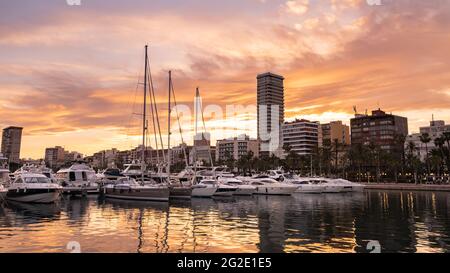 Alicante Hafen mit Luxusyachten und Segelbooten, Promenade Palmen in der Altstadt bei Sonnenuntergang, Spanien. Schöne Aussicht auf den touristischen Hafen in Costa Stockfoto