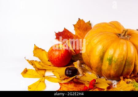 Herbstliche Kunstkomposition - abwechslungsreiche getrocknete Blätter, Kürbisse, Früchte, Vogelbeeren auf weißem Hintergrund. Herbst, Herbst, halloween, Danksagetag Konzept. Stockfoto