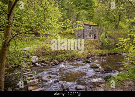 Trittsteine überqueren Hebden Beck mit dem Gibson Mill toll House in der Ferne. Hardcastle Crags, West Yorkshire. Stockfoto