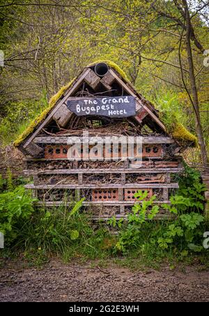 Das Grand Bugeest Hotel, Käfer House Stockfoto