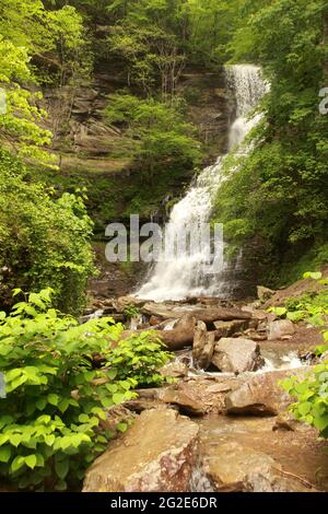 Cathedral Falls, West Virginia, USA Stockfoto