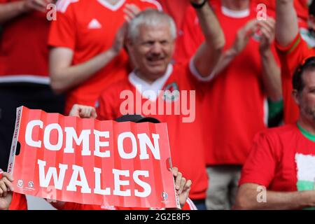 Wales Fans Wales gegen Nordirland, UEFA Euro 2016 letzte 16 Spiele im Parc des Princes in Paris, Frankreich . Juni 2016 nur redaktionelle Verwendung. Bild von und Stockfoto