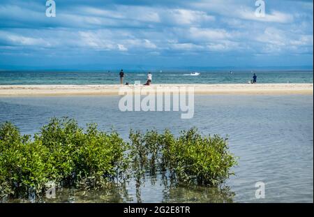 Angeln auf dem Sandspieß bei Buckleys Hole, Bongaree, Bribie Island, Moreton Bay Region, Queensland, Australien Stockfoto