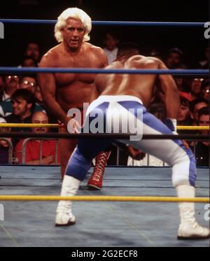 RIC Flair 2 Cold Scorpio 1993 Foto von John Barrett/PHOTOlink Stockfoto