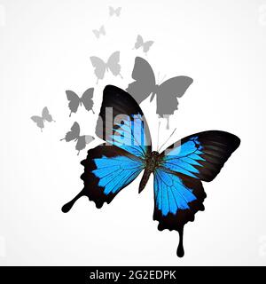 Blauer Schmetterling Hintergrund Stockfoto