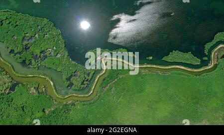 Bayingolin, China. Juni 2021. Die Schönheit des Schilfmeers des Bosten Sees im Sommer in Bayingolin, Xinjiang, China, am 10. Juni 2021.(Foto: TPG/cnsphotos) Quelle: TopFoto/Alamy Live News Stockfoto