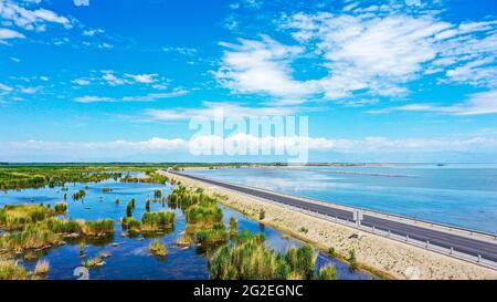 Bayingolin, China. Juni 2021. Die Schönheit des Schilfmeers des Bosten Sees im Sommer in Bayingolin, Xinjiang, China, am 10. Juni 2021.(Foto: TPG/cnsphotos) Quelle: TopFoto/Alamy Live News Stockfoto