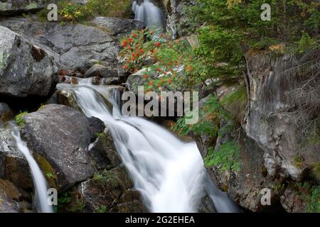 FRANKREICH. ALPES-MARITIMES (06) ISOLA 2000 SKIGEBIET. MERCANTOUR NATIONAL PARK Stockfoto