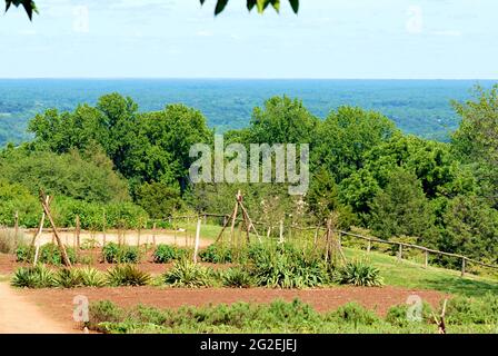 Der Gemüsegarten auf dem Gelände von Monticello, dem Anwesen von Präsident Thomas Jefferson in der Nähe von Charlottesville, Virginia, einem beliebten Touristenziel. Stockfoto