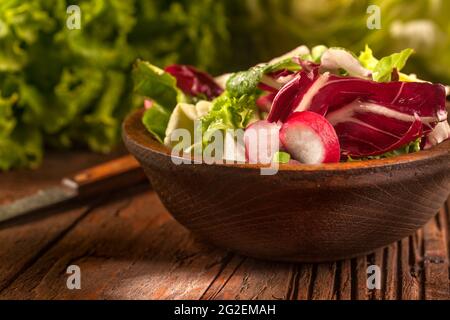 Frischer und gesunder Gemüsesalat der Saison mit Salat, Radieschen, Zwiebeln und Buttersalat mit saisonalen Gewürzen und Olivenöl in einer Holzschüssel Stockfoto