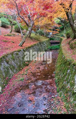 Farbenfrohe Blätter im Garten des Tofukuji-Tempels, Wahrzeichen und berühmt für Touristenattraktionen in Kyoto, Japan. Herbstfärbung, Urlaub und tra Stockfoto