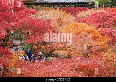 Farbenfrohe Blätter im Garten des Tofukuji-Tempels, Wahrzeichen und berühmt für Touristenattraktionen in Kyoto, Japan. Herbstfärbung, Urlaub und tra Stockfoto