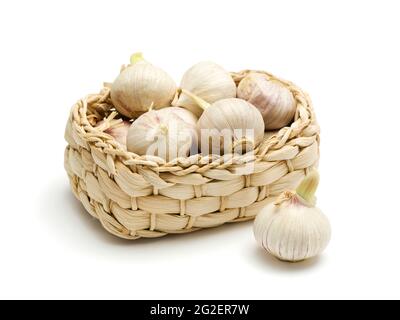 Knoblauchzwiebeln in einem kleinen geflochtenen Korb, isoliert auf Weiß Stockfoto