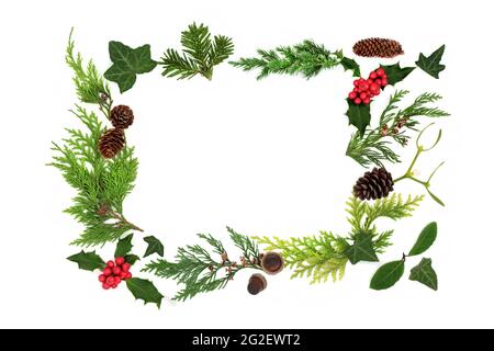 Traditionelle europäische Flora und Grün Hintergrund Grenze auf weiß. Abstrakte Winter Weihnachten und Neujahr Komposition. Draufsicht, flach liegend, Kopierbereich Stockfoto