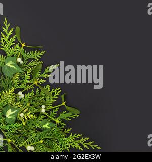 Wintersonnenwende Grün Hintergrund Grenze mit ZedernZypresse, Mistel und Efeu Blatt Zweig Zusammensetzung auf dunkelgrauem Hintergrund. Natürliche Fauna compos Stockfoto