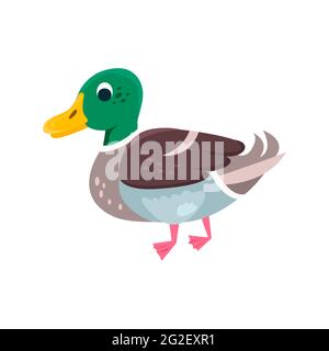 Duck Flat Icon. Farbiger Vektor aus der Vogelsammlung. Creative Duck Icon für Webdesign, Templates und Infografiken. Stock Vektor