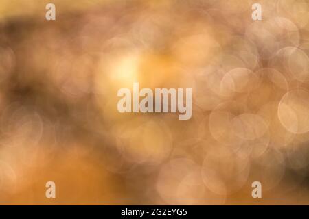 Orangefarbenes Bokeh-Licht auf dem Hintergrund eines Wassertropfens. Stockfoto