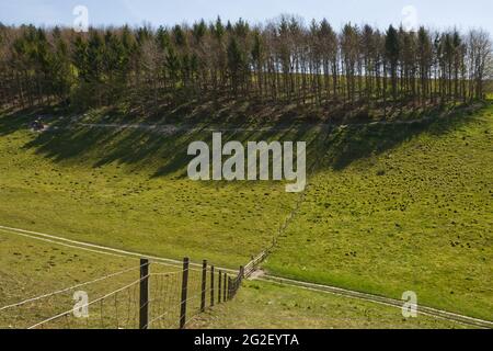 Wege in Arundel Park, West Sussex, England. Täler und Bäume. Stockfoto