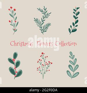 Weihnachts-Blumenkollektion mit dekorativen Pflanzen und Blumen im Winter. Niedliche Hand gezeichnet im skandinavischen Stil. Stock Vektor