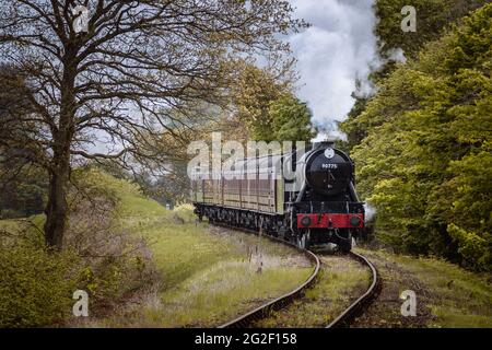 Die Mohn Linie klassische Dampfeisenbahn durch Waldbäume Stockfoto