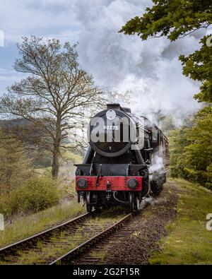 Die Mohn Linie klassische Dampfeisenbahn durch Waldbäume Stockfoto