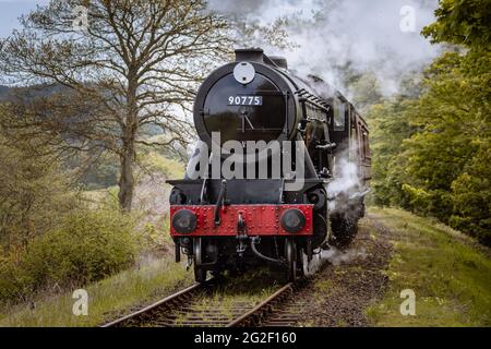Die Mohn Linie klassische Dampfeisenbahn durch Waldbäume Stockfoto