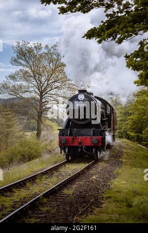 Die Mohn Linie klassische Dampfeisenbahn durch Waldbäume Stockfoto