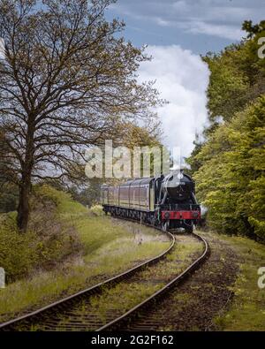 Die Mohn Linie klassische Dampfeisenbahn durch Waldbäume Stockfoto