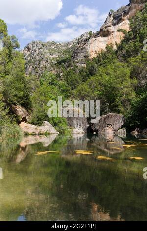 „Charco de la Pringue“ im Stausee Tranco de Beas in Jaen, Spanien Stockfoto
