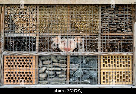 Haus für Insekten. Eine Schachtel aus Rinde, Stroh und Steinen. Ziegel, Zapfen und Bambus, damit sich das Insekt dort niederlassen kann. Zuhause für Wildbienen. Umweltfreundliche Do-it-yourself-Handwerk. Idee für einen Garten. DIY Stockfoto