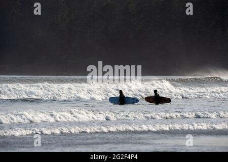 TOFINO, KANADA - 10. Juni 2021: Surfer auf dem Weg zum Meer, Tofino, BC Kanada Stockfoto