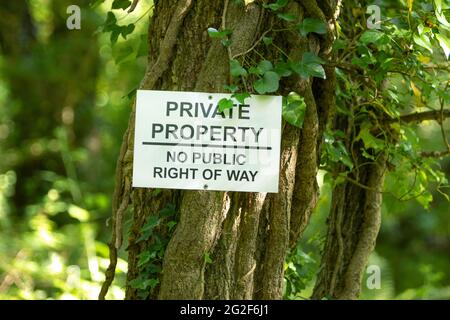 Ein Privateigentum, kein öffentliches Wegzeichen im Wald. Stockfoto