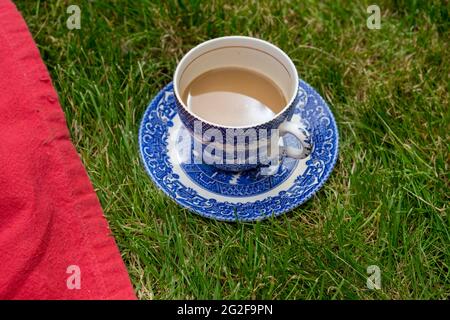 Glück ist eine Tasse milchigen Tee in einer schönen Tasse im Gras --- EIN Wochenende im Brooklyn House, Martham Stockfoto