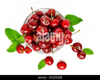 Draufsicht auf den Haufen süßer Kirschen mit Minzblättern. Stockfoto