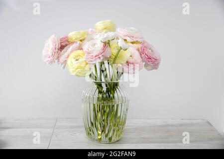 Das Bouquet von blassrosa und gelben persischen Butterblumen in der Glasvase auf dem Tisch gegen die graue Wand Stockfoto