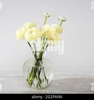 Das Bouquet von blassgelben persischen Butterblumen in der Glasvase auf dem Tisch gegen die graue Wand Stockfoto