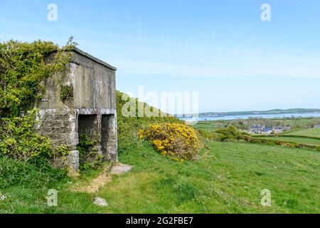 Betonwasserspeicher gegen eine Hecke in einem Feld, der zur Versorgung von Trinkrinnen für Nutztiere verwendet wird. Stockfoto