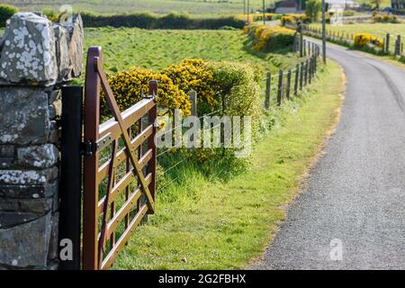 Holztor am Ende einer Farmstraße in Nordirland Stockfoto