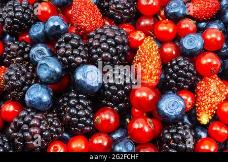 Hintergrund von frischen Sommerbeeren. Reife Brombeeren, Heidelbeeren, Erdbeeren und Himbeeren. Draufsicht. Hintergrund von schwarz-blauen und roten Beeren. Pa Stockfoto