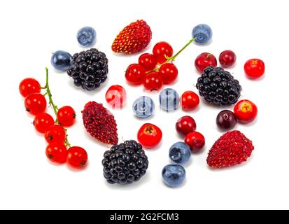 Verschiedene frische Sommerbeeren. Muster frischer Beeren isoliert auf weißem Hintergrund, Draufsicht. Erdbeere, Heidelbeere, Himbeere, Brombeere und Strömung o Stockfoto