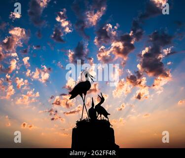 Silhouette Landschaft der Storchfamilie, dramatische blauen Himmel im Hintergrund, kopieren Raum. Stockfoto