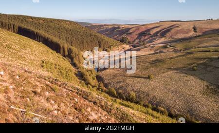 Luftaufnahme von nicht-einheimischen Forstplantagen rund um das Llyn Brianne Reservoir, Powys, Wales, Großbritannien Stockfoto