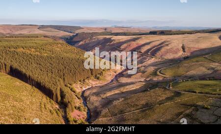 Luftaufnahme von nicht-einheimischen Forstplantagen rund um das Llyn Brianne Reservoir, Powys, Wales, Großbritannien Stockfoto