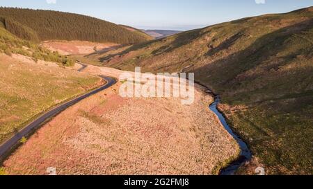 Luftaufnahme von nicht-einheimischen Forstplantagen rund um das Llyn Brianne Reservoir, Powys, Wales, Großbritannien Stockfoto