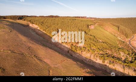 Luftaufnahme von nicht-einheimischen Forstplantagen rund um das Llyn Brianne Reservoir, Powys, Wales, Großbritannien Stockfoto